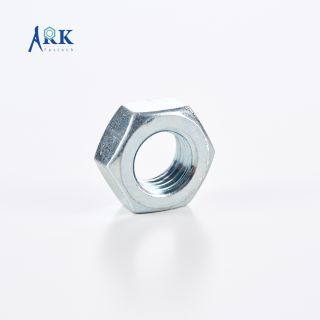 Hex Nut-5306